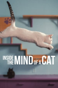 Nonton Inside the Mind of a Cat (2022) Sub Indo di Lk21 Poster