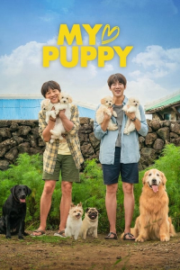 Nonton My Heart Puppy (2023) Sub Indo di Lk21 Poster