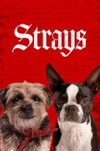 Nonton Strays (2023) Sub Indo di Lk21 Poster