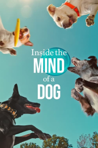 Nonton Inside the Mind of a Dog (2024) Sub Indo di Lk21 Poster