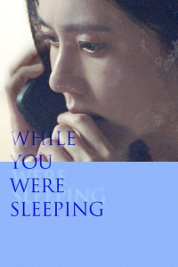 Nonton While You Were Sleeping (2024) Sub Indo di Lk21 Poster