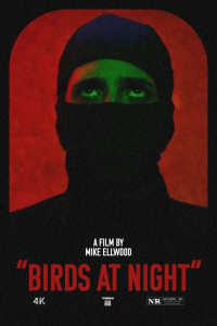 Nonton Birds at Night (2024) Sub Indo di Lk21 Poster