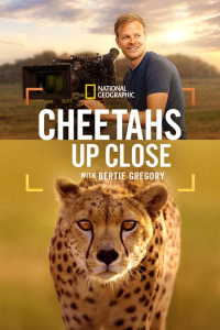 Nonton Cheetahs Up Close with Bertie Gregory (2026) Sub Indo di Lk21 Poster