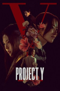 Nonton Project Y (2025) Sub Indo di Lk21 Poster